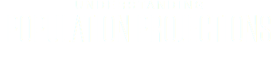 UNDERSTANDING POPULATION PROJECTIONS